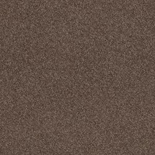 ALLURED CLASSIC II