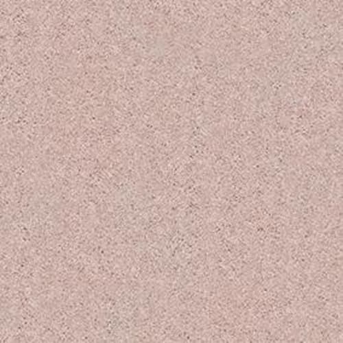 ALLURED CLASSIC II