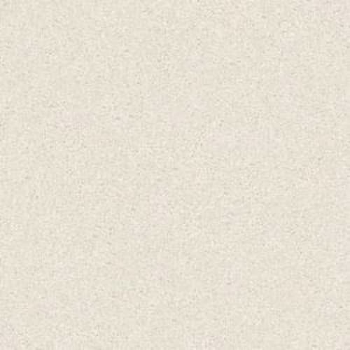 ALLURED CLASSIC IV