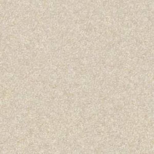SUPPER CLUB in Ivory Carpet