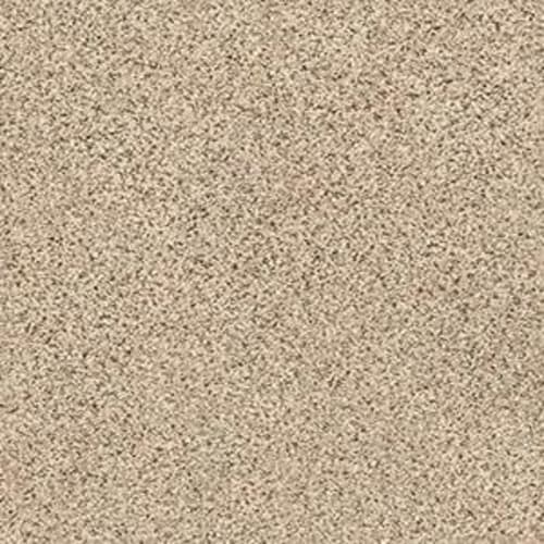 FLASHDANCE I in Sand Castle Carpet
