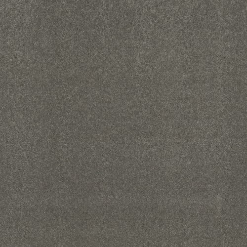 GRACIOUSNESS (S) in Steel Carpet
