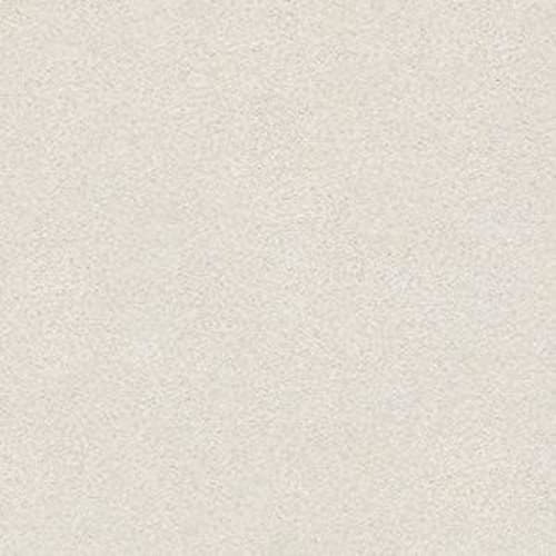 ROYALIST SOLID I