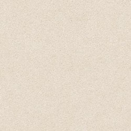 ROYALIST SOLID I