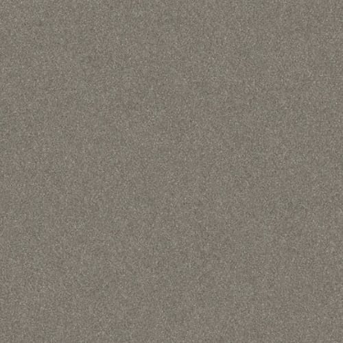 MEDFORD HALL II in Abalone Carpet