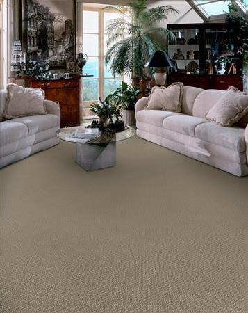 Donegal in Arrowhead Carpet