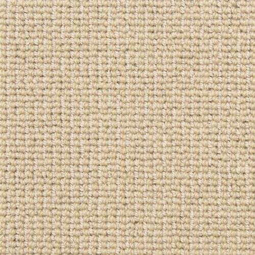 Needle Point in Canvas Carpet