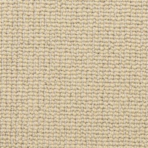 Needle Point in Embroidery Carpet