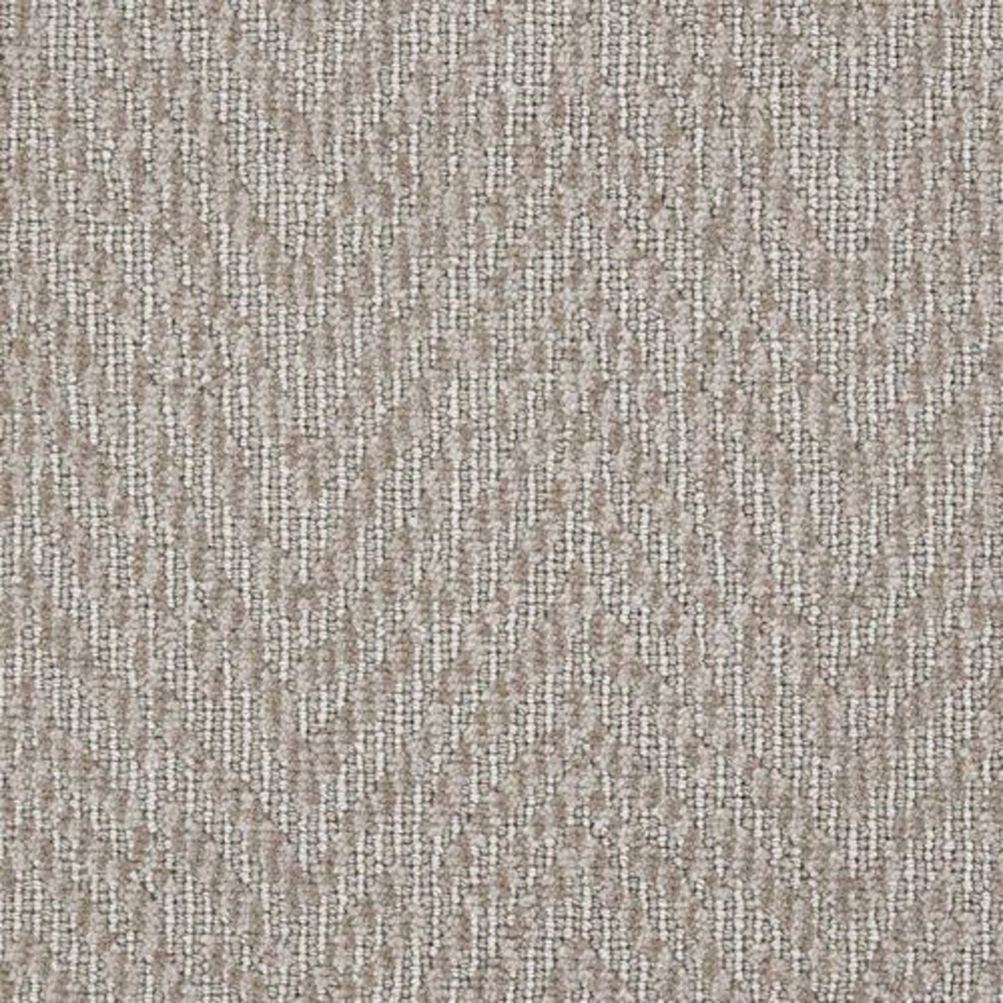 Winston in Bisque Carpet