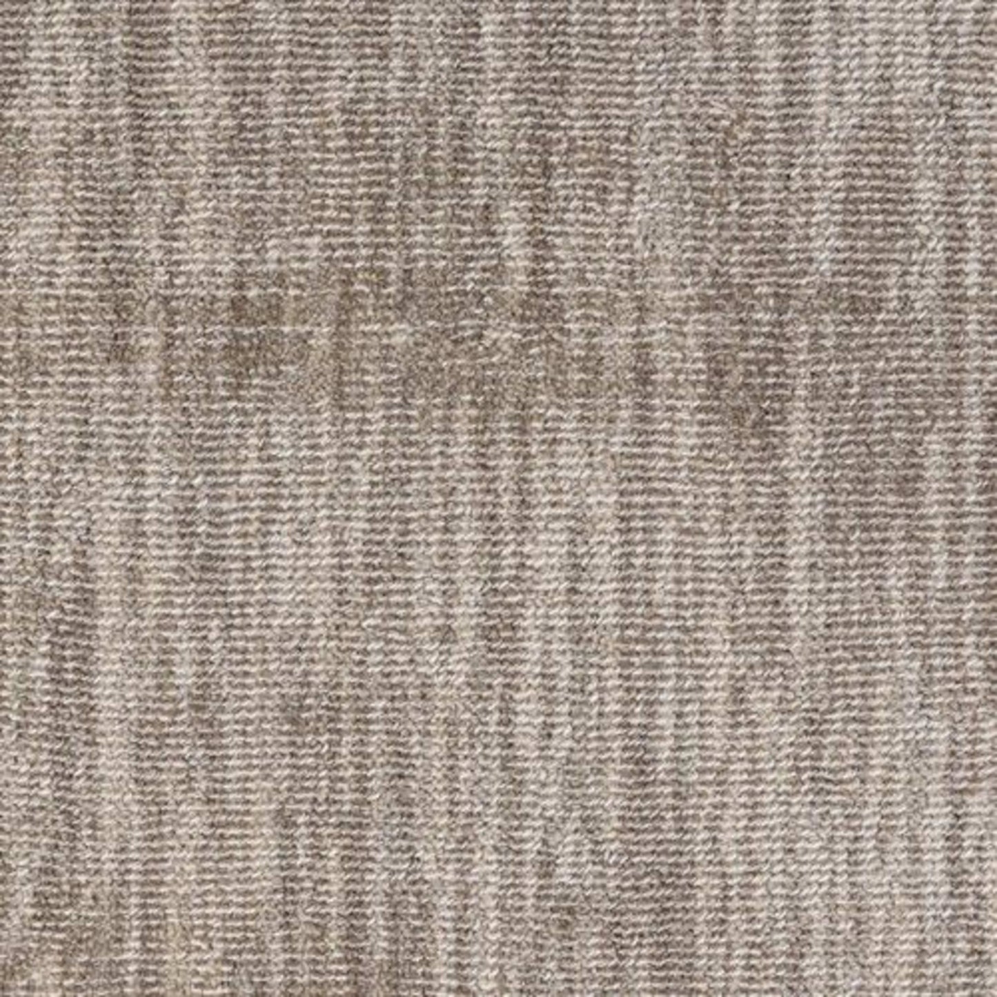 Jiya in Neighborly Carpet