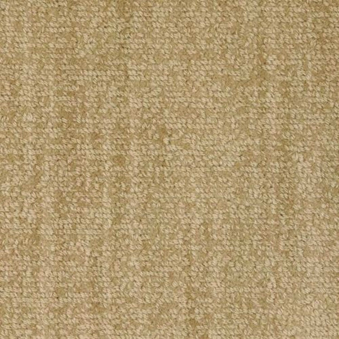 Revival in Harmony Carpet