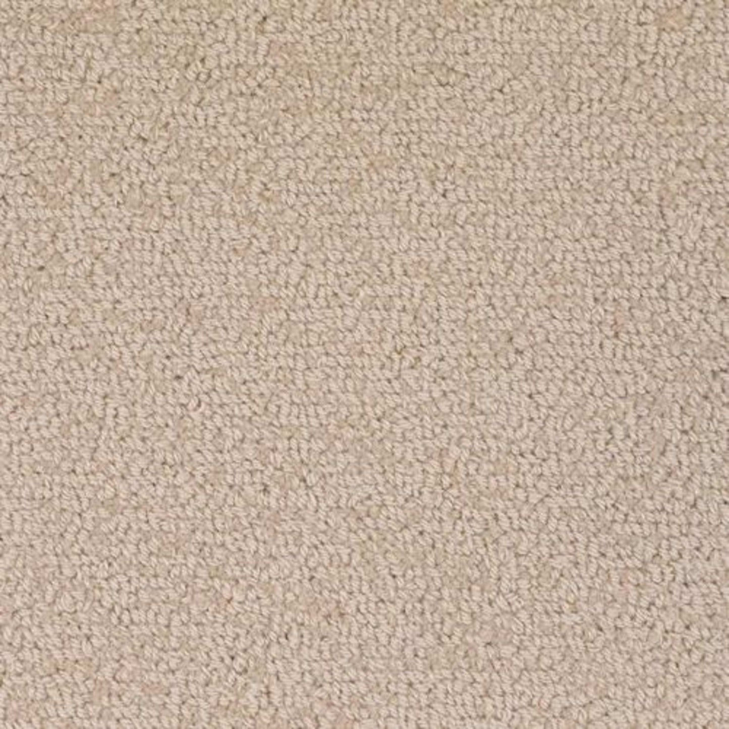Revival in Noble Carpet