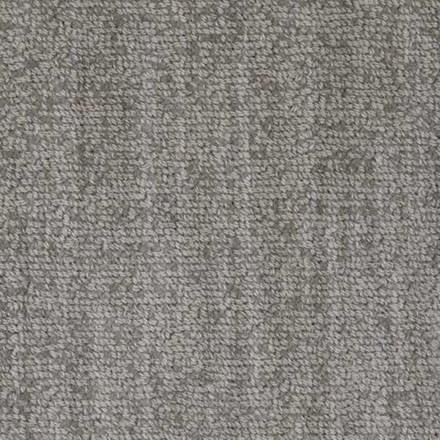 Revival in Appear Carpet
