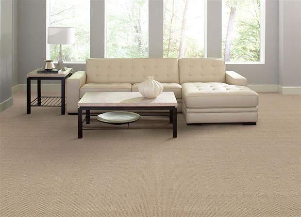 Gallantry Too in Newport Carpet