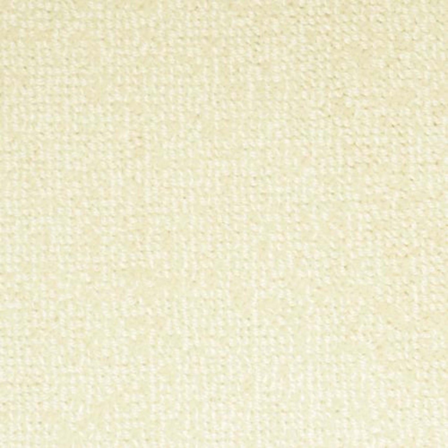 Batavia in Cream Carpet