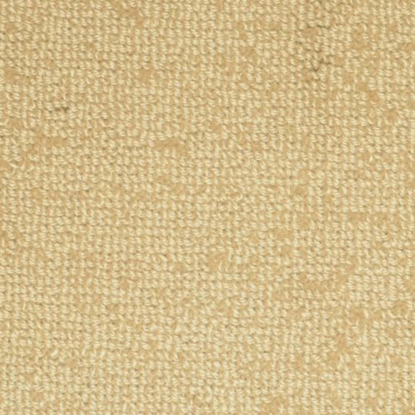 Batavia in Seedling Carpet
