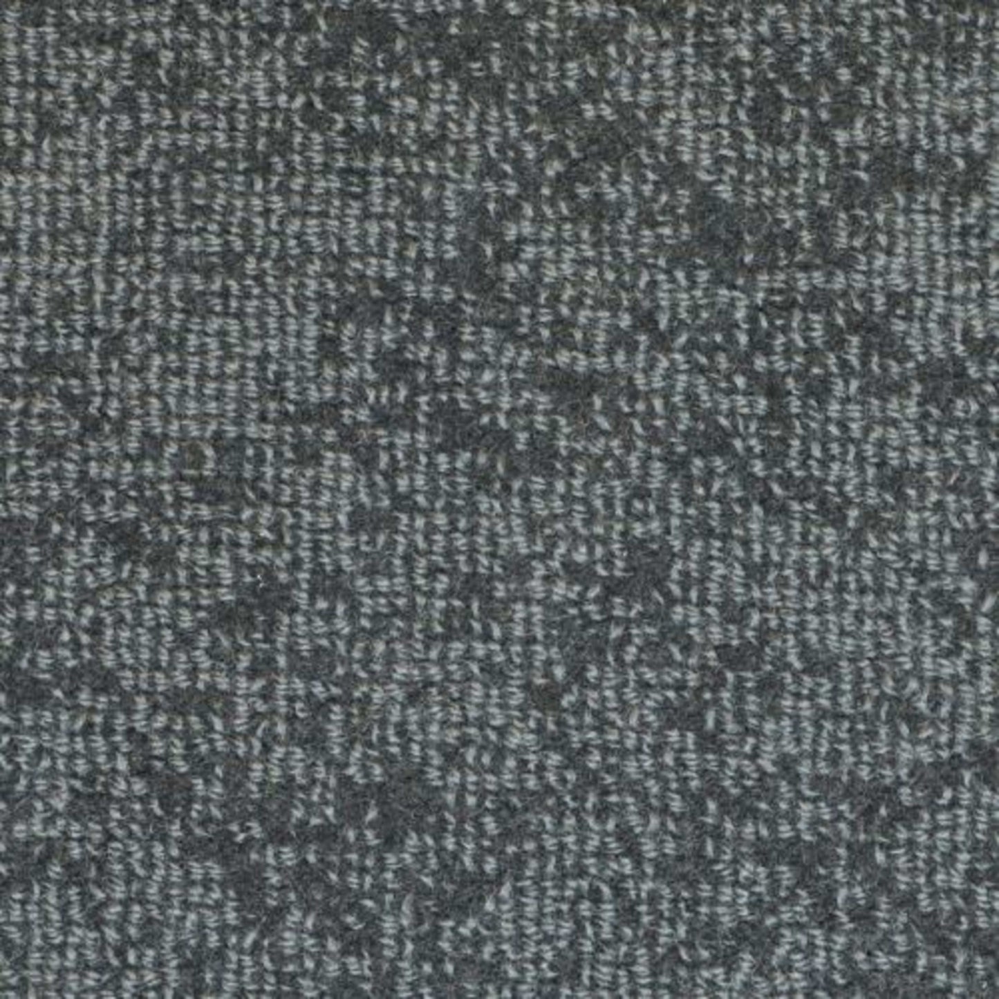 Batavia in Mediterranean Carpet