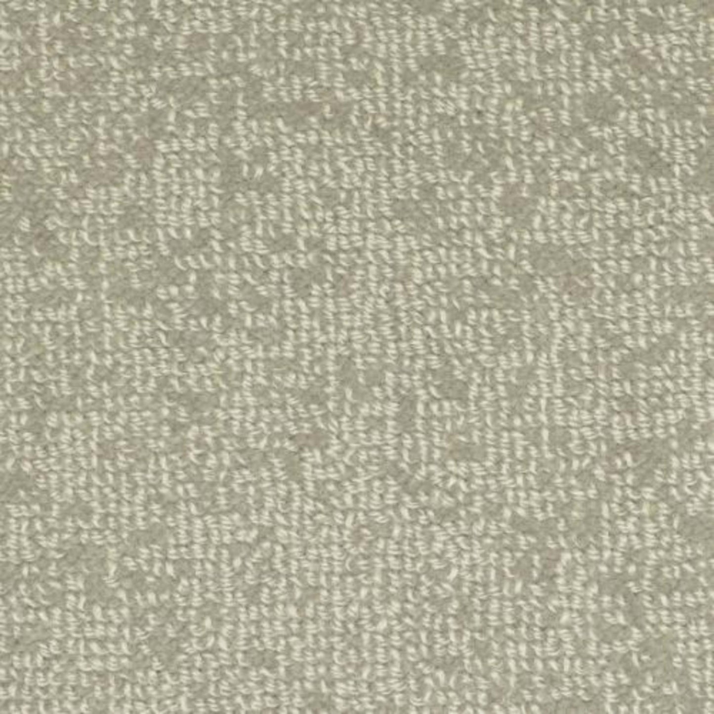 Batavia in Pewter Carpet
