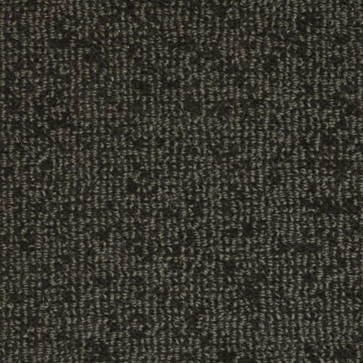 Batavia in Midnight Carpet