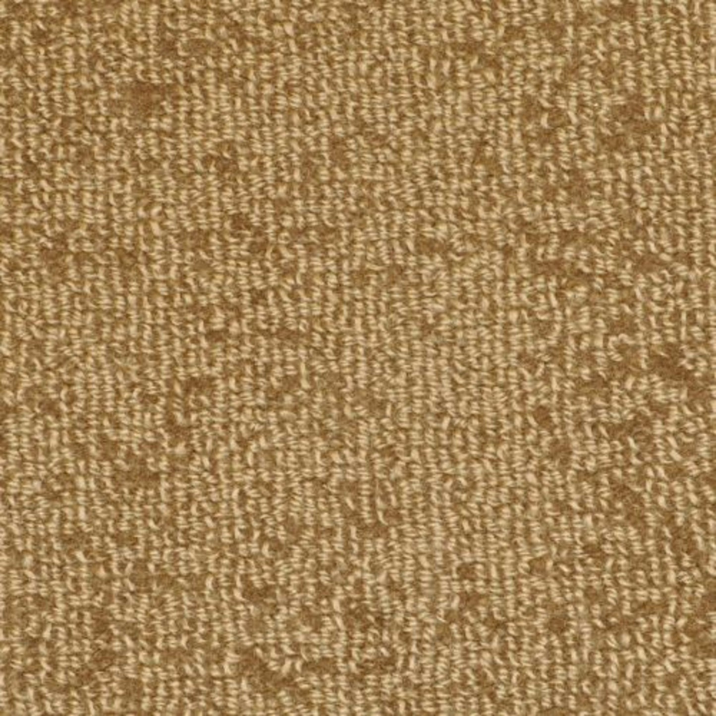 Batavia in Tortoise Carpet