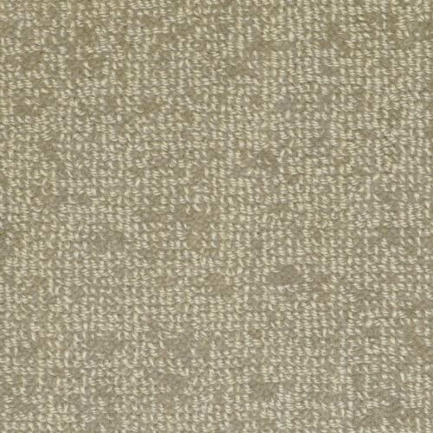 Batavia in Charcoal Carpet