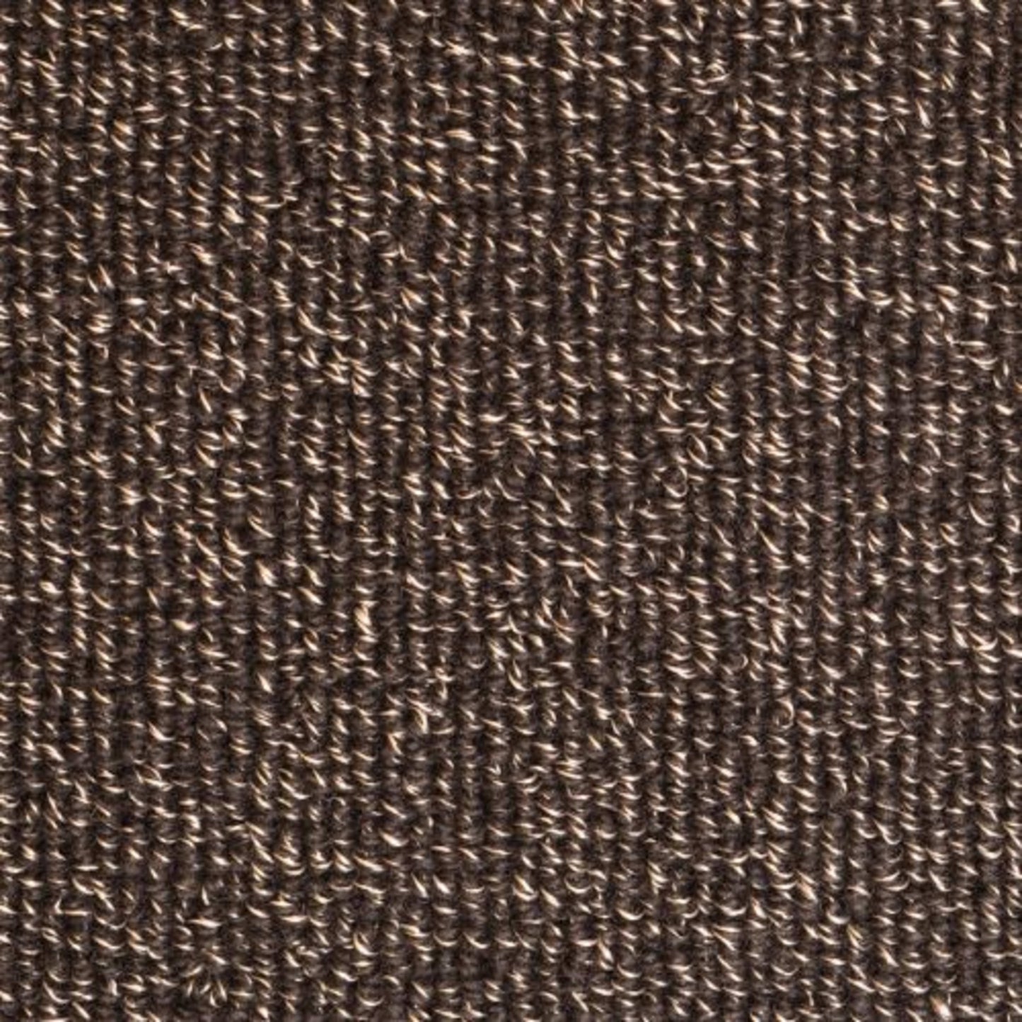 Capri in Sea Cave Carpet