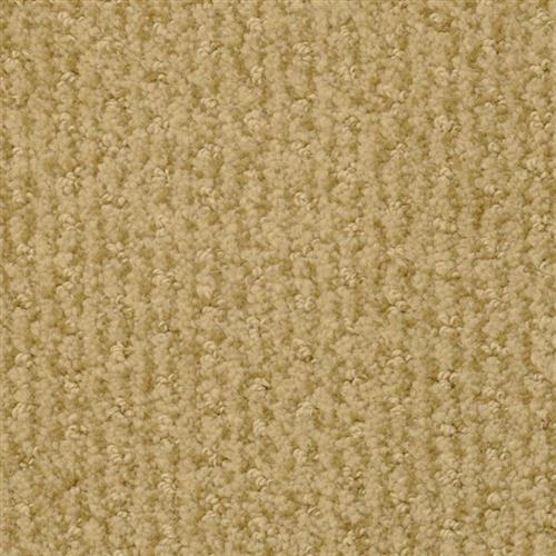 Pinehurst in Pro Shop Carpet