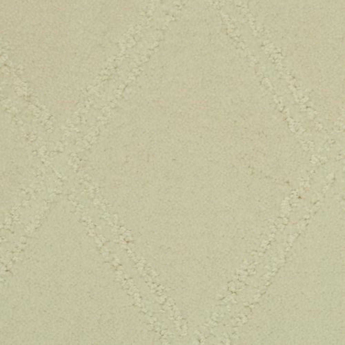 Braided Opulence in Canvas Carpet