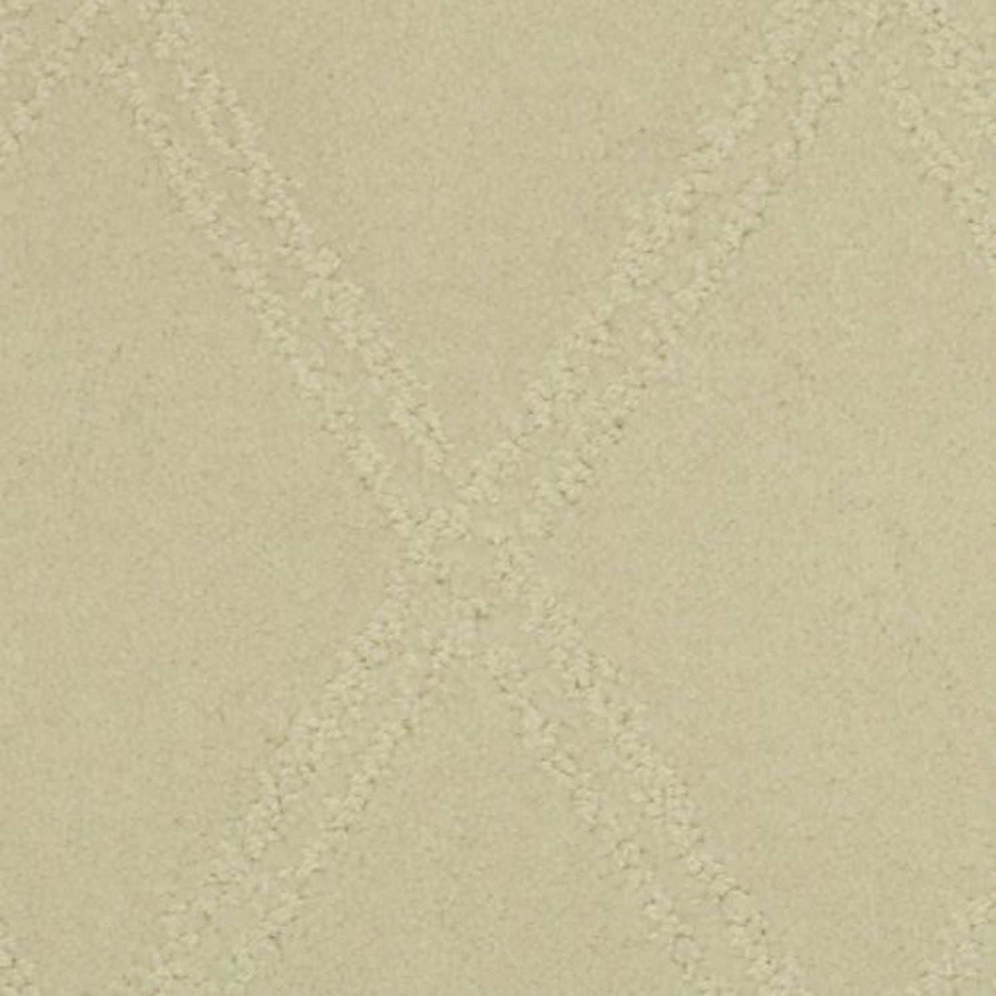 Braided Opulence in Shifting Sand Carpet