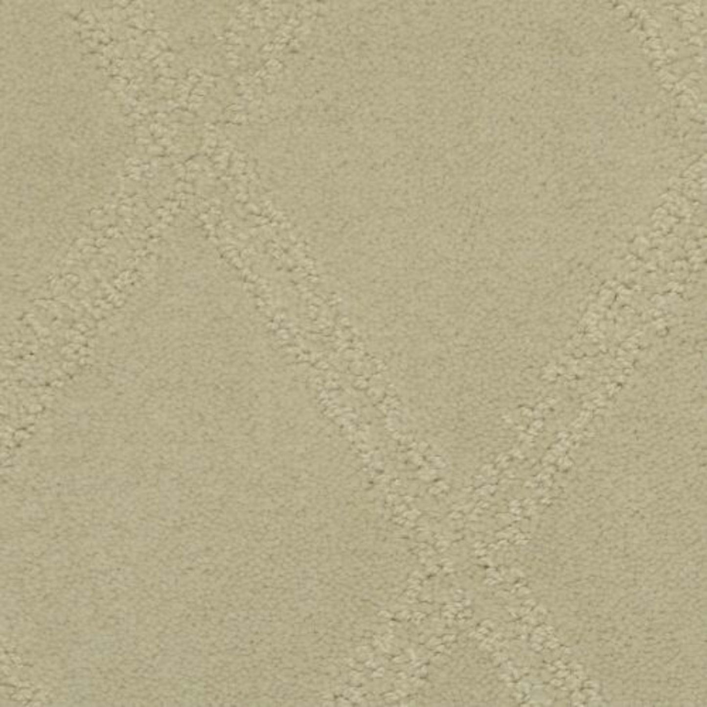 Braided Opulence in Simply Taupe Carpet