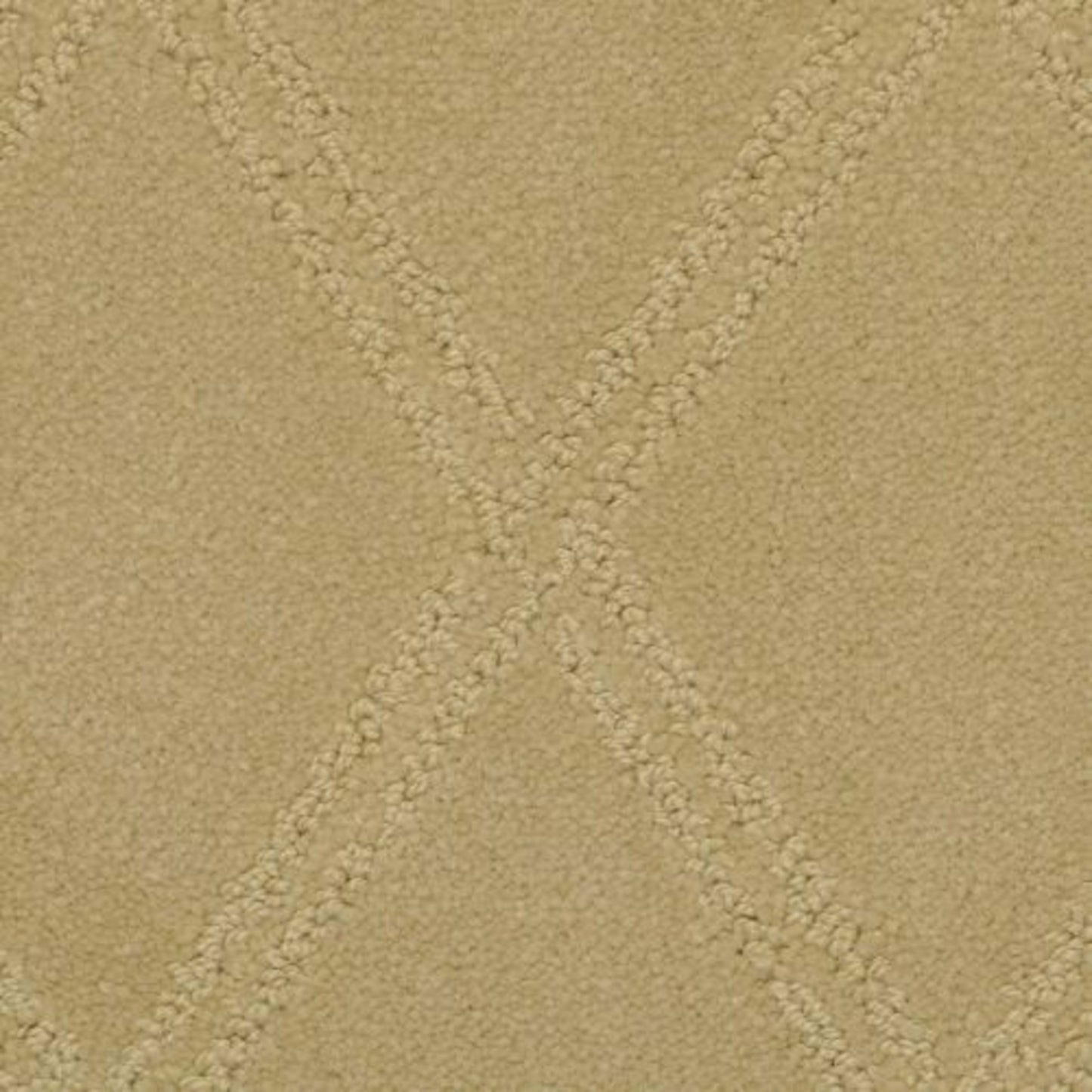 Braided Opulence in Rich Tan Carpet