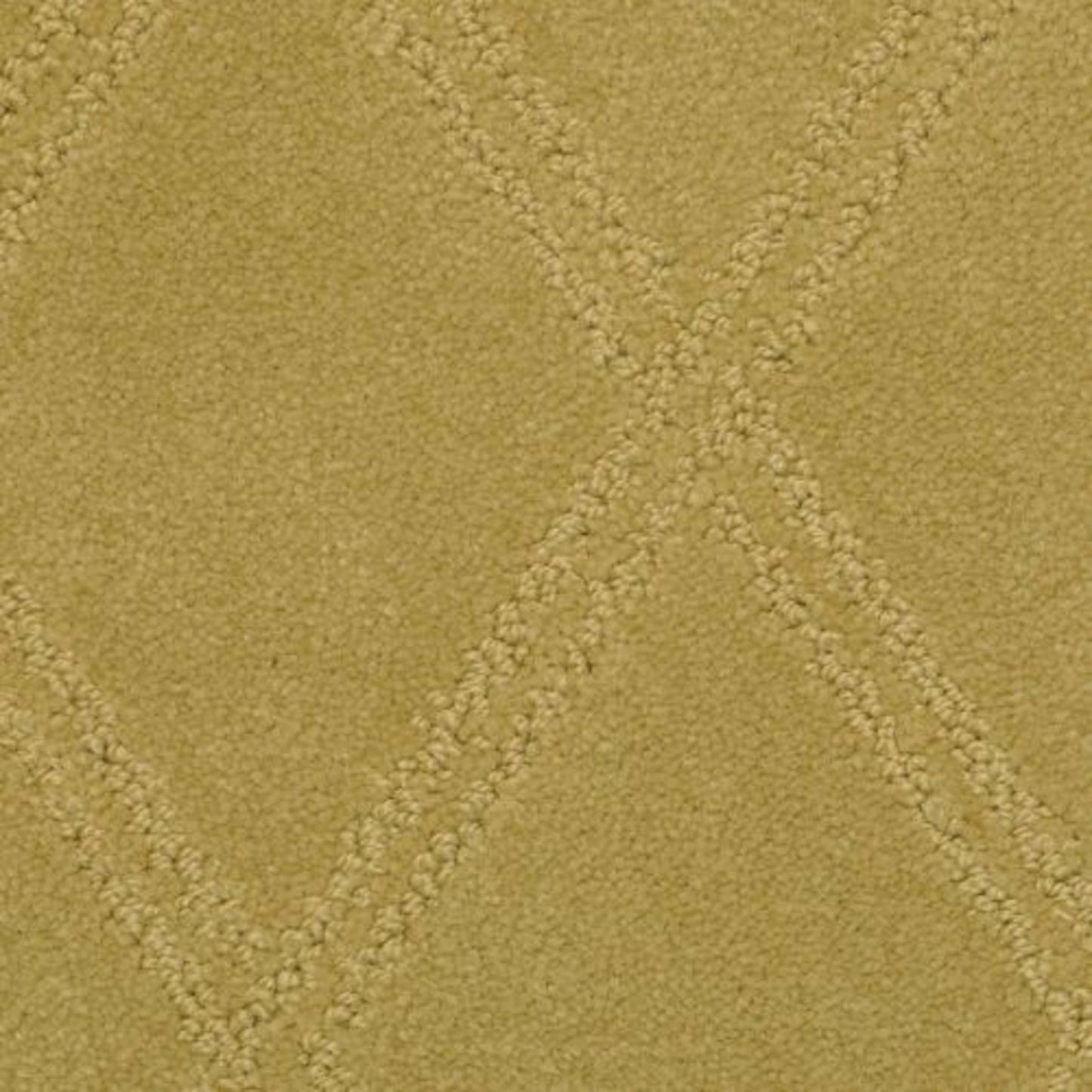 Braided Opulence in Tannery Carpet