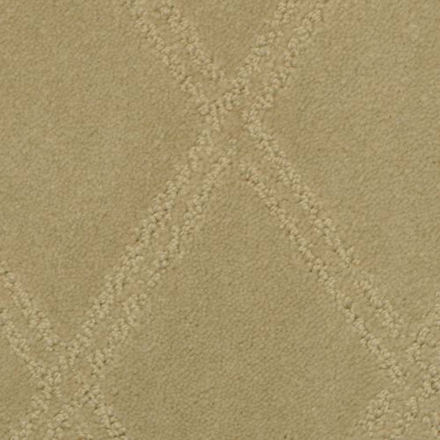Braided Opulence in Frappe Carpet
