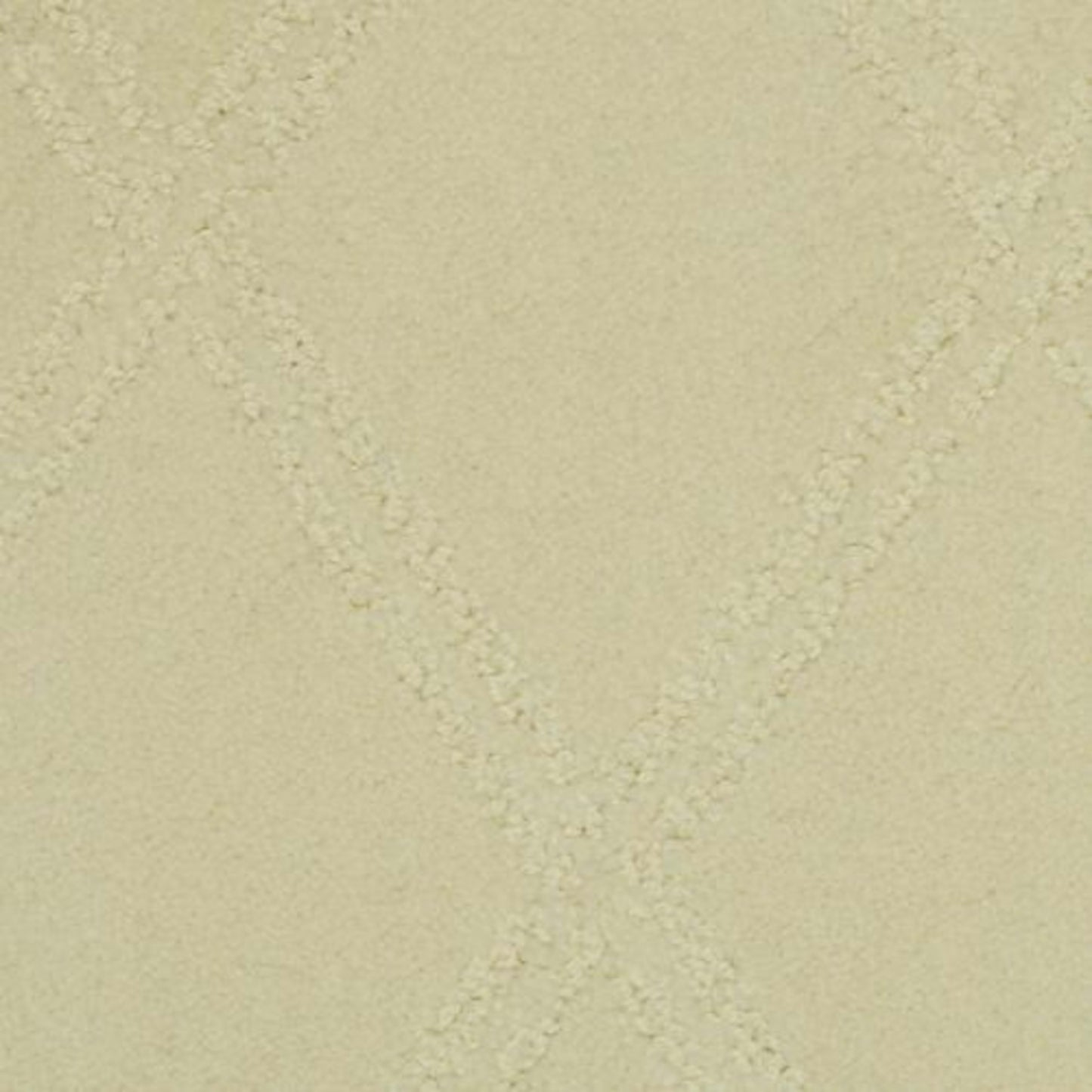 Braided Opulence in Shell Carpet