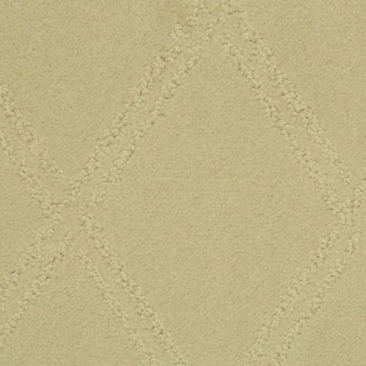 Braided Opulence in Sesame Carpet