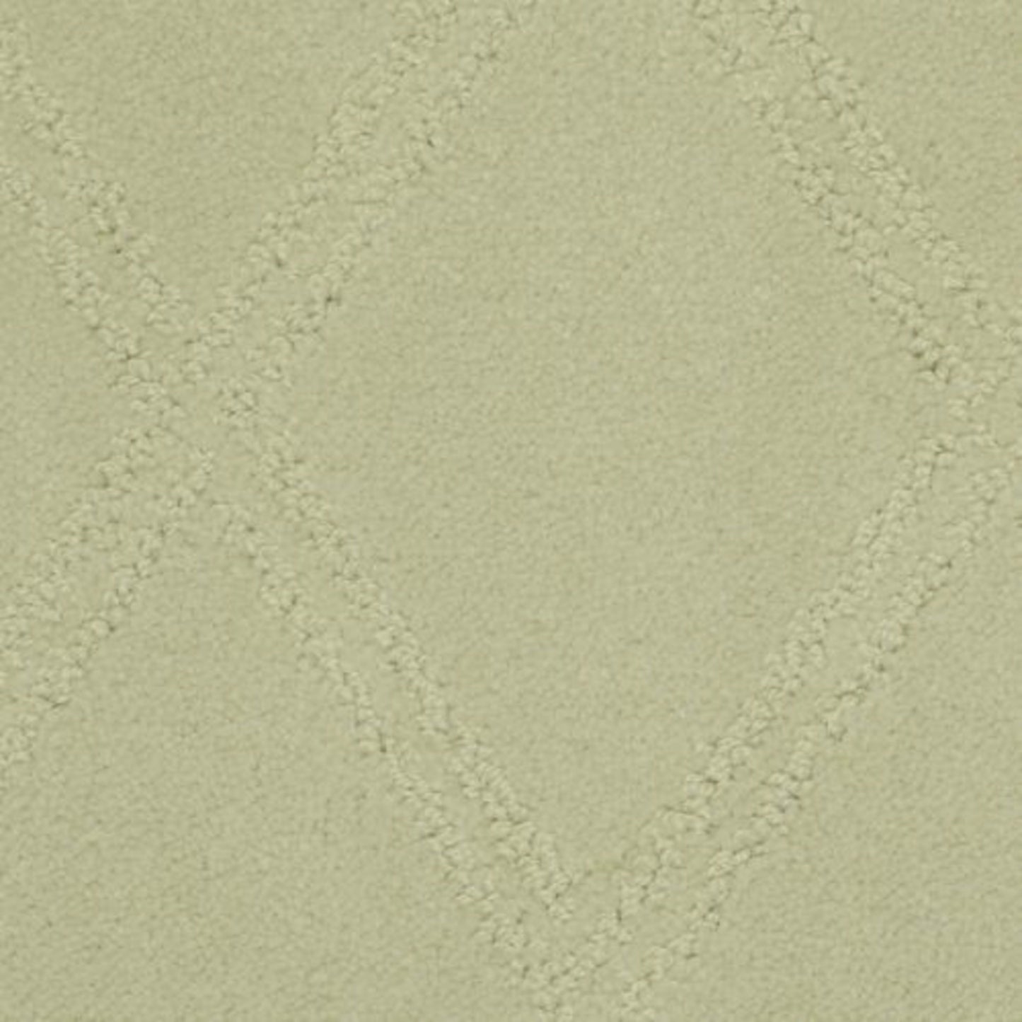 Braided Opulence in Mineral Carpet