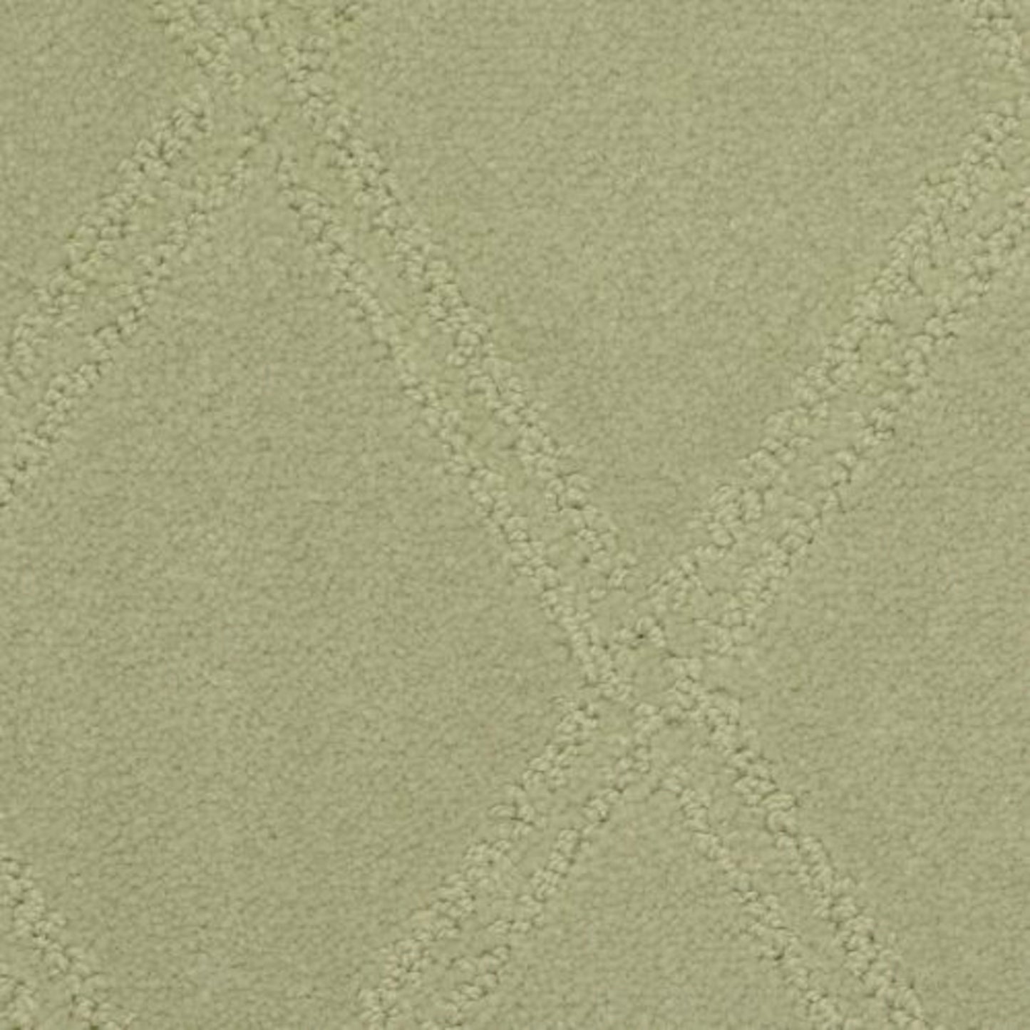 Braided Opulence in Balsam Carpet