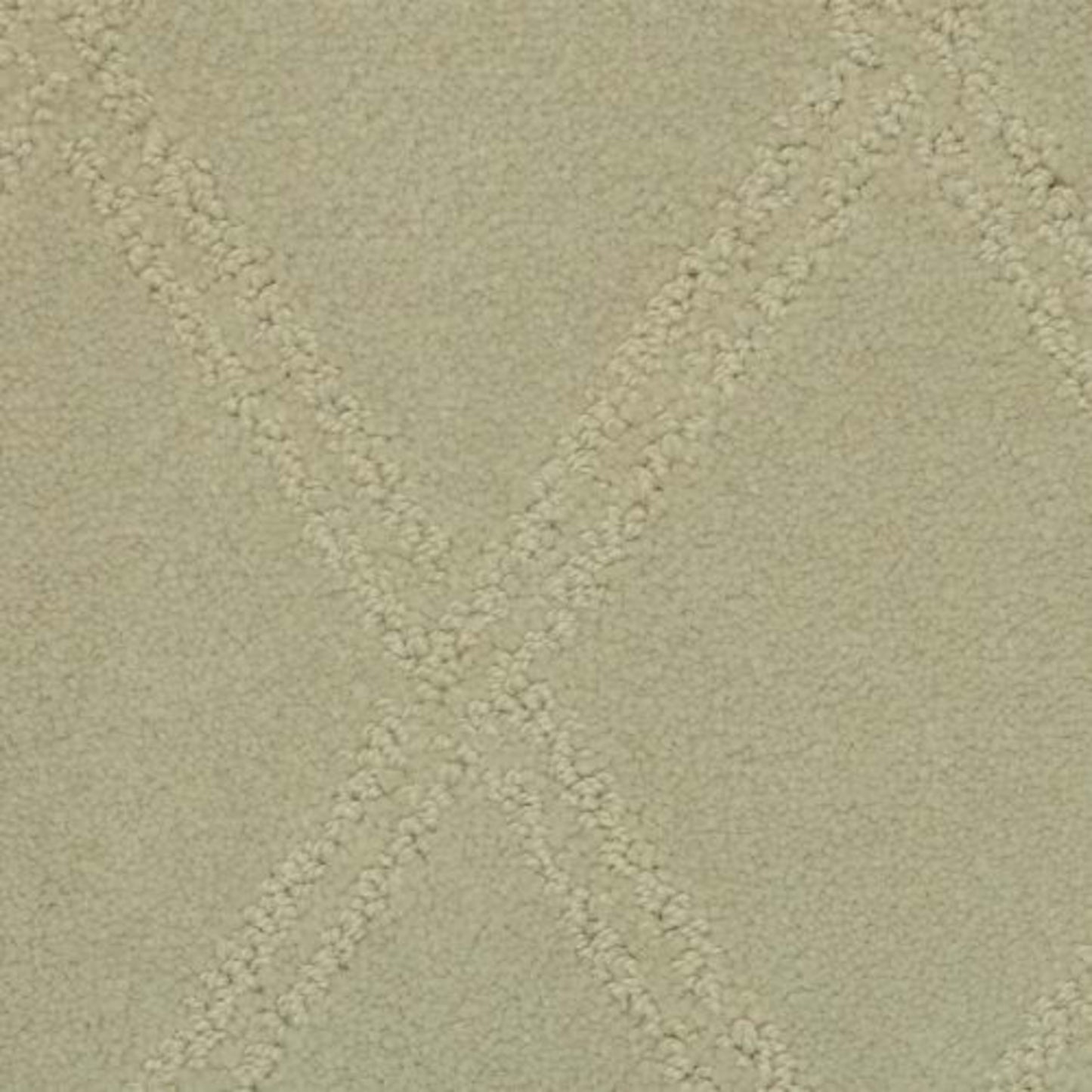 Braided Opulence in Fossil Carpet