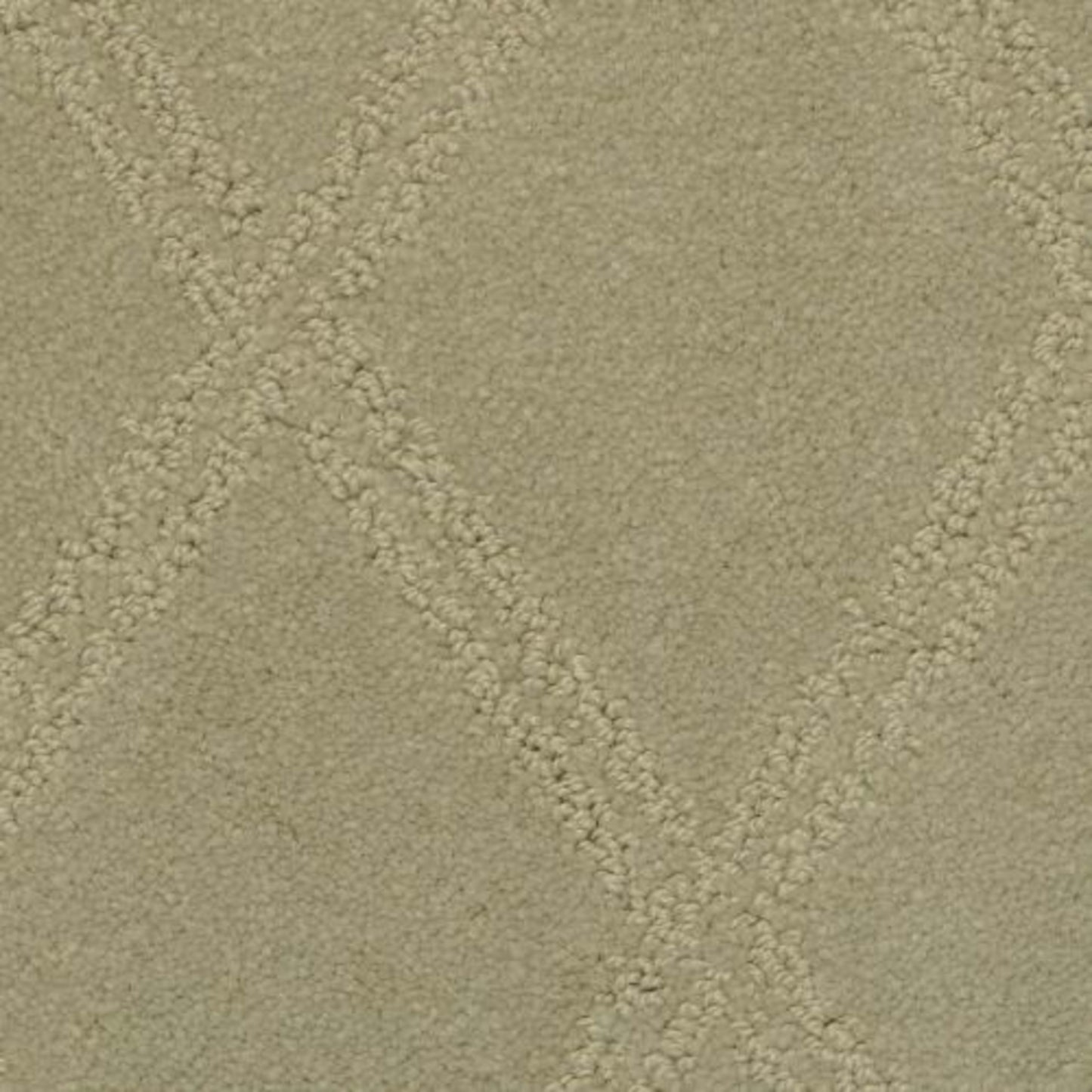 Braided Opulence in Driftwood Carpet