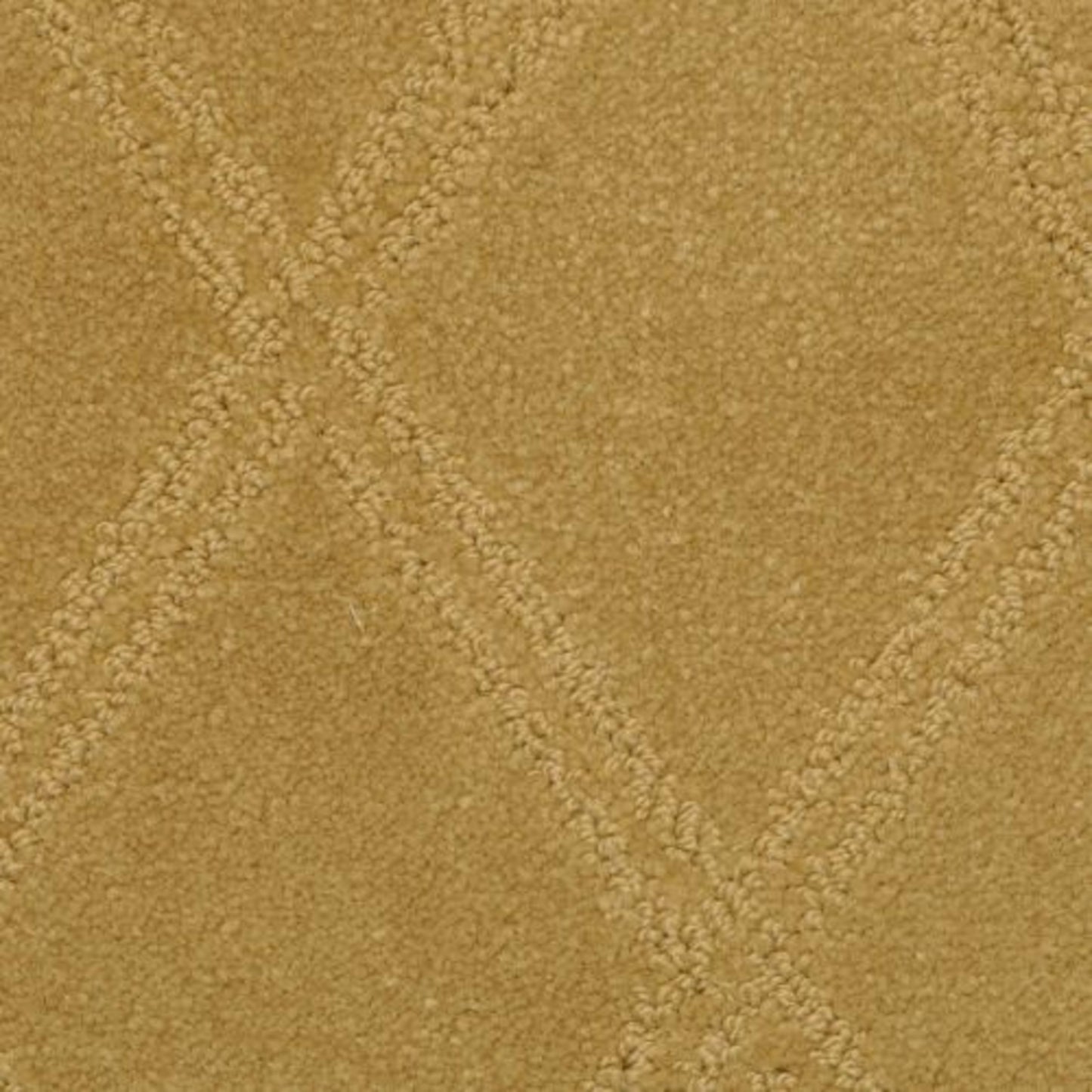 Braided Opulence in Navajo Carpet
