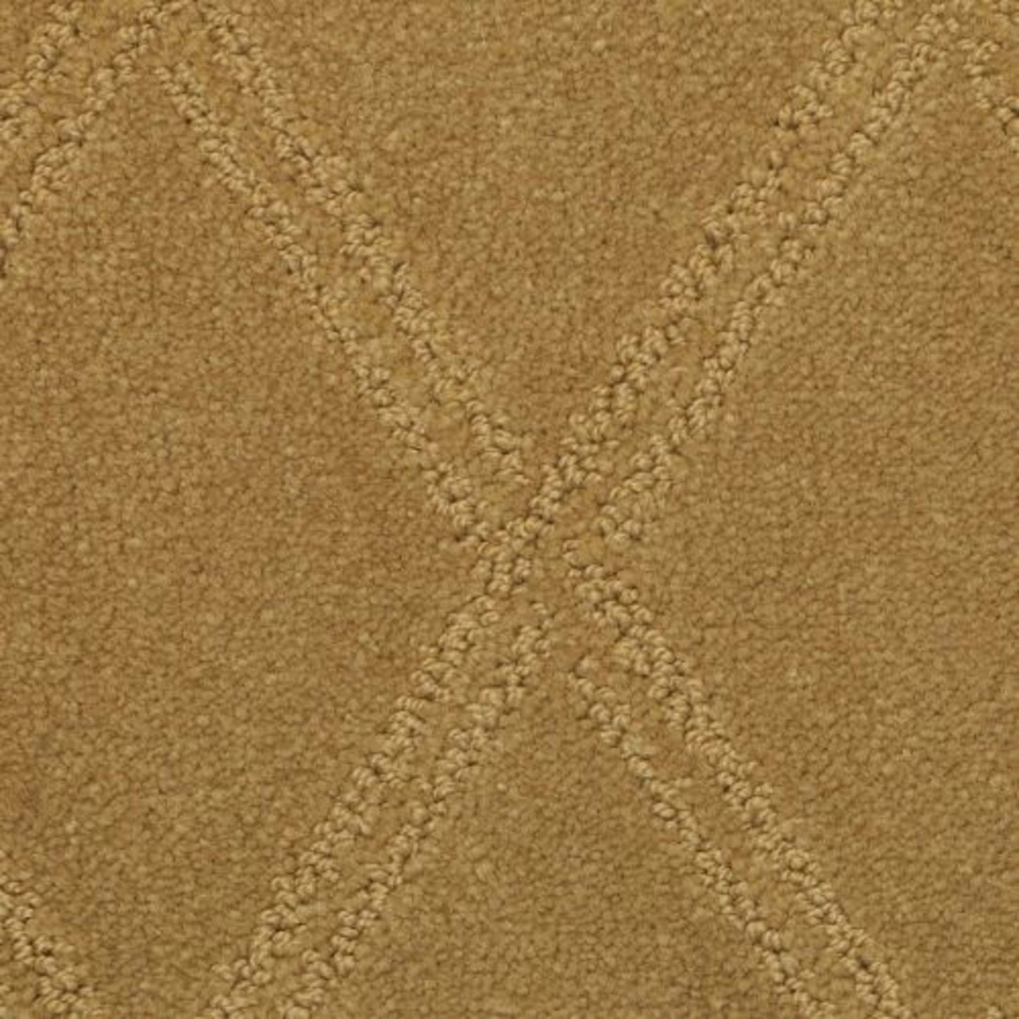 Braided Opulence in Sierra Carpet