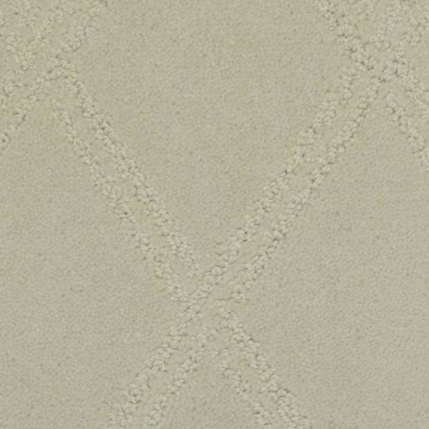 Braided Opulence in Ash Carpet