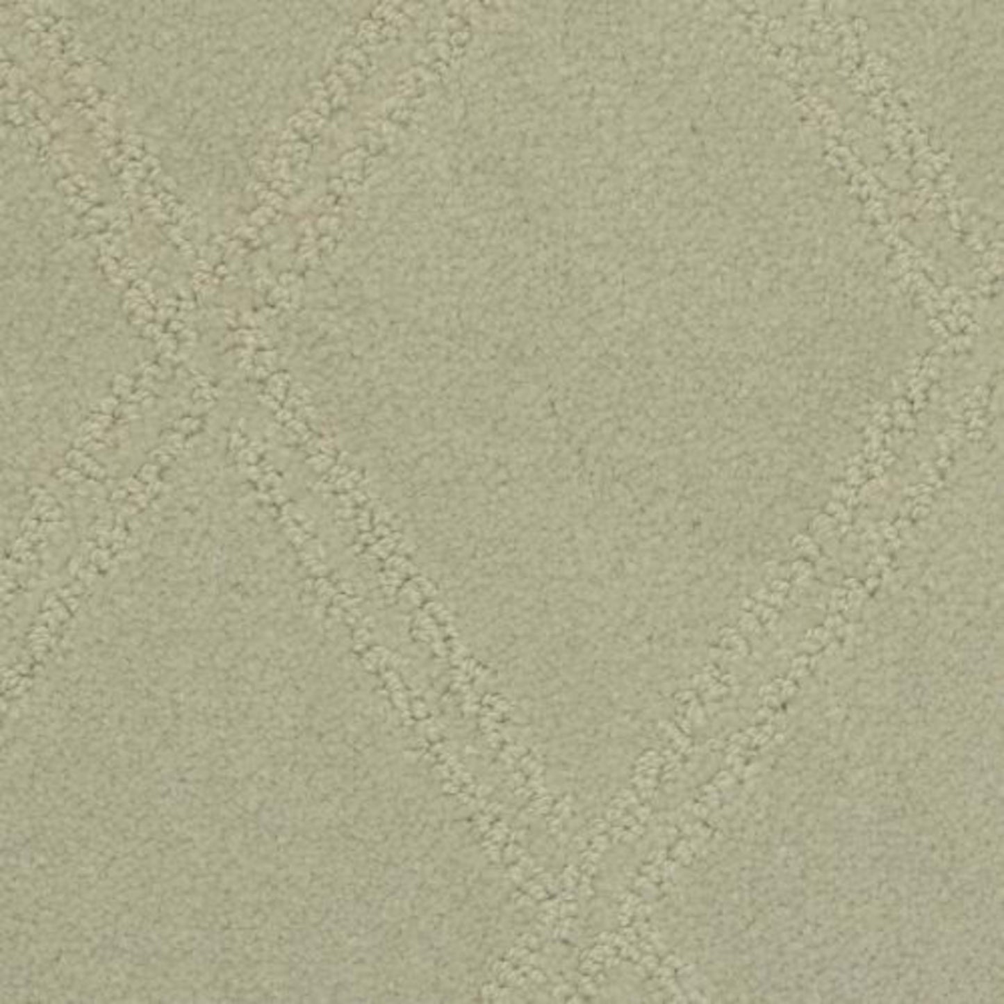 Braided Opulence in Fiannel Carpet
