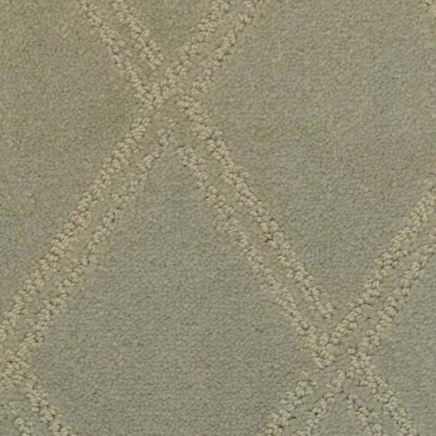 Braided Opulence in Flint Carpet