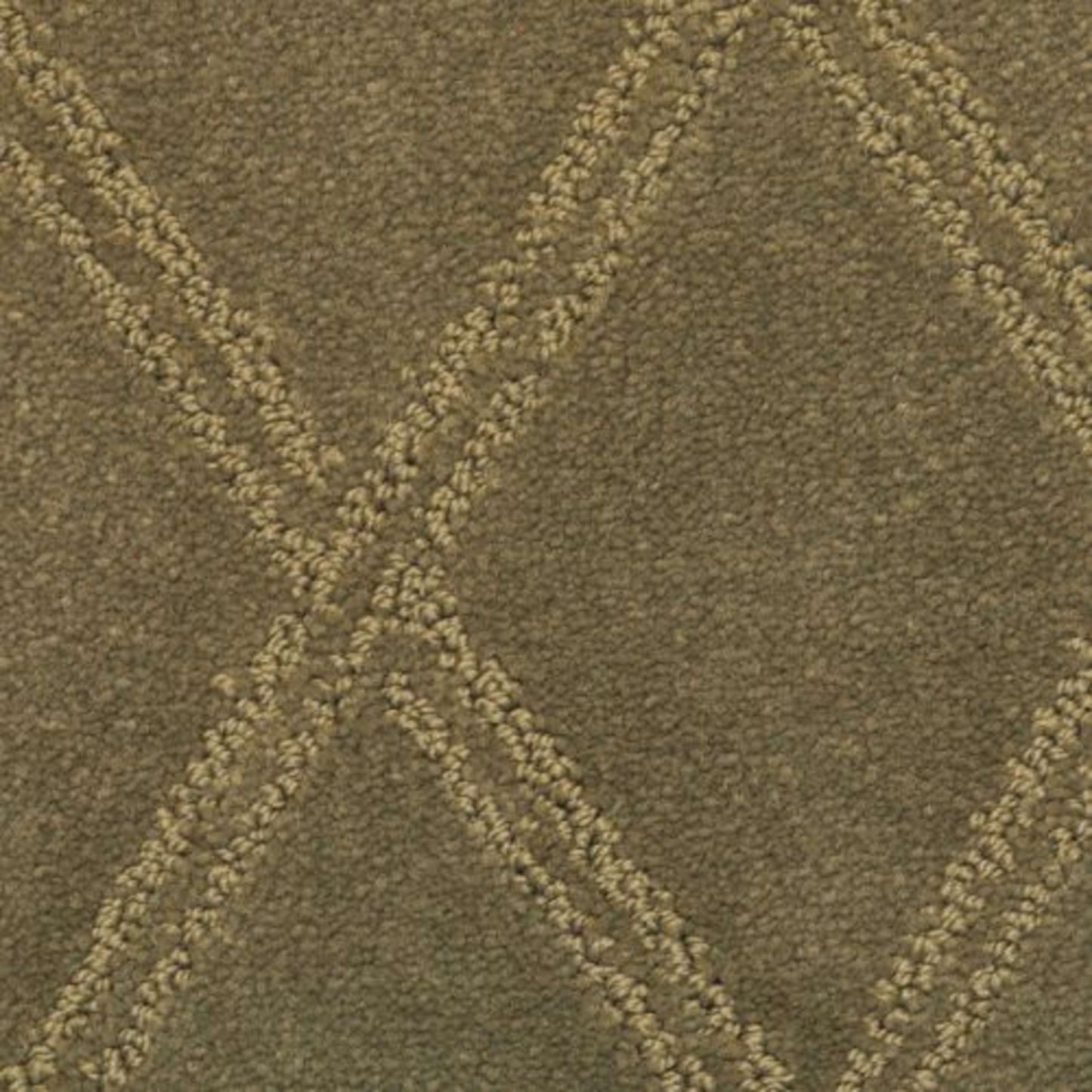 Braided Opulence in Shale Carpet