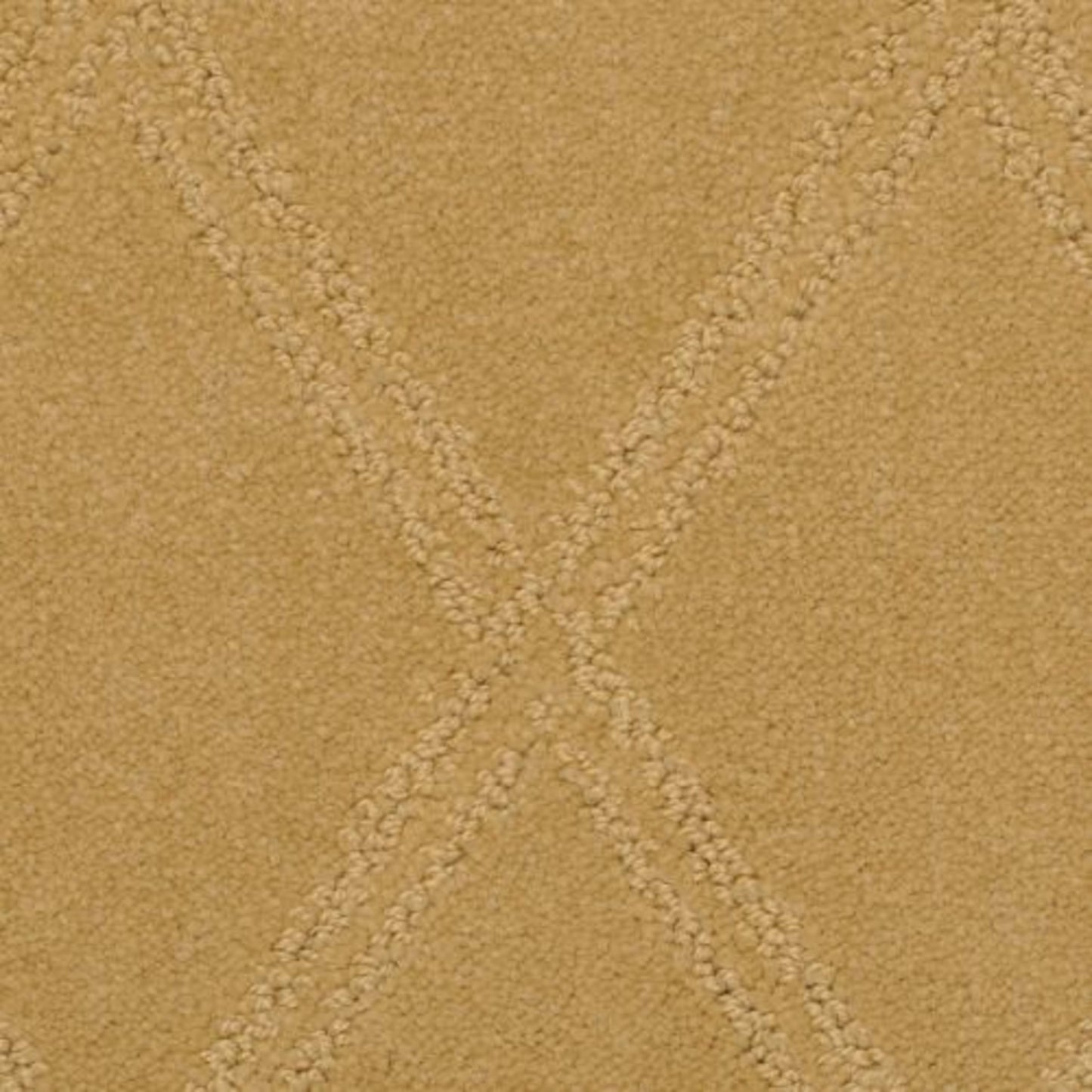 Braided Opulence in Terra Cotta Carpet