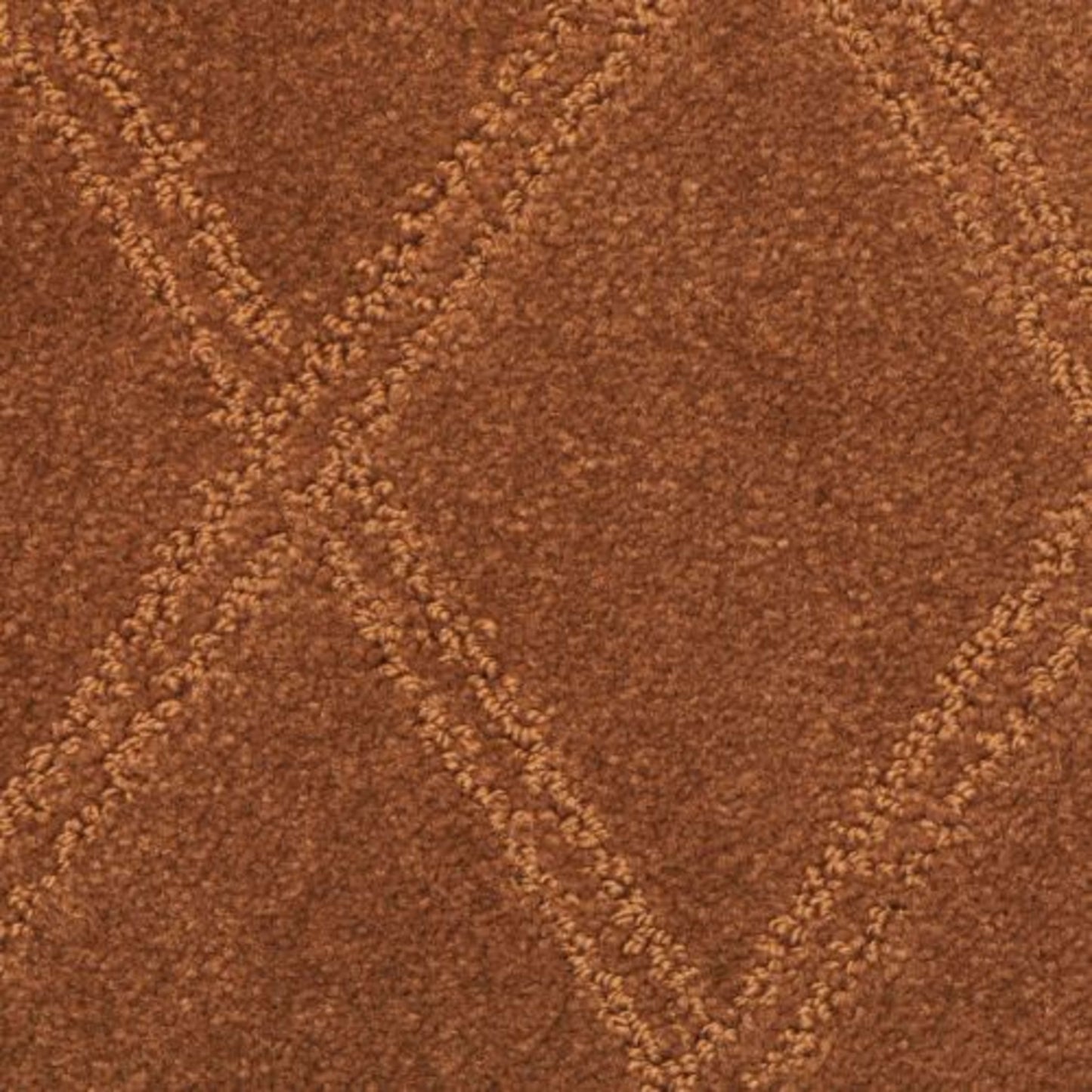 Braided Opulence in Black Raspberry Carpet