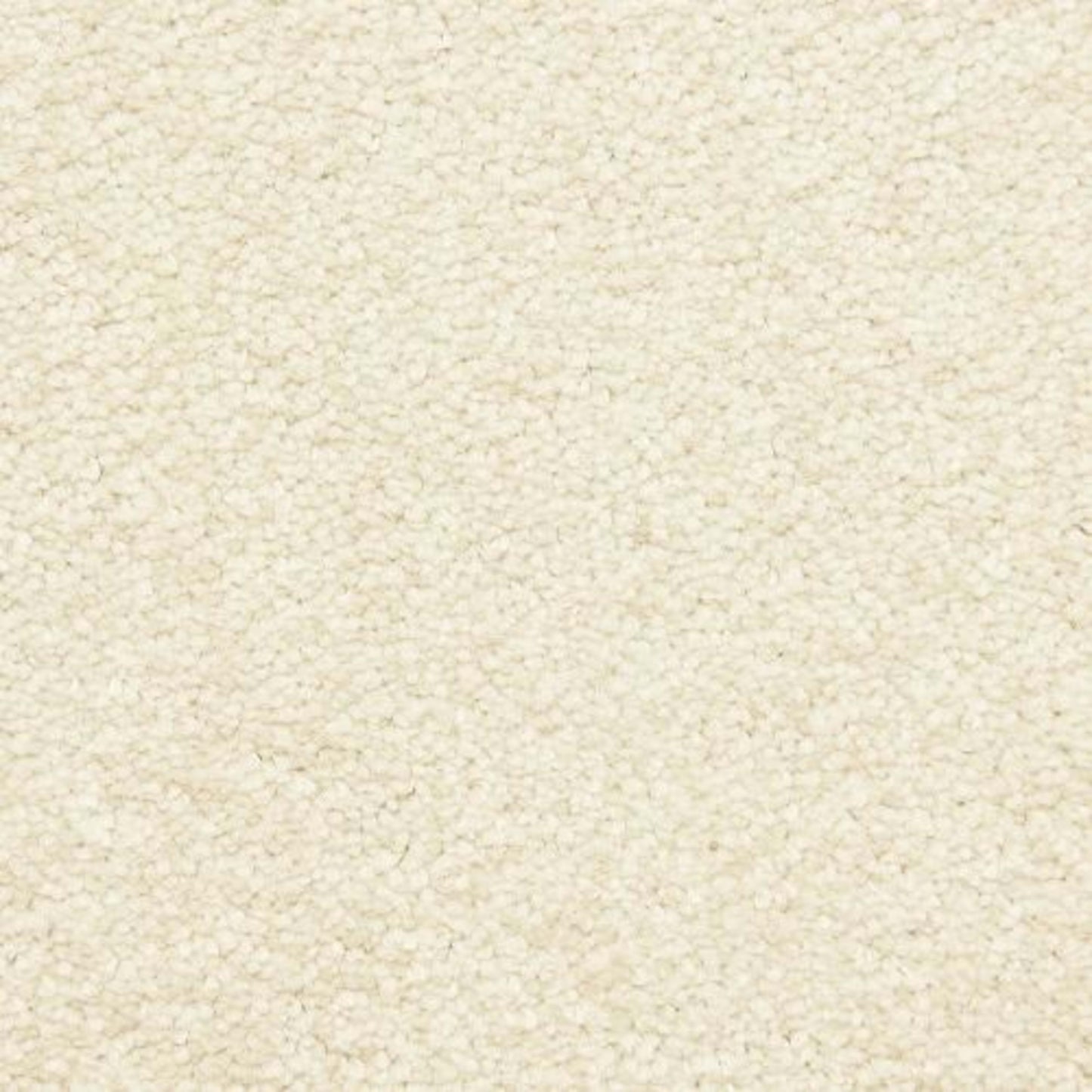Morgan Bay in Shell Carpet