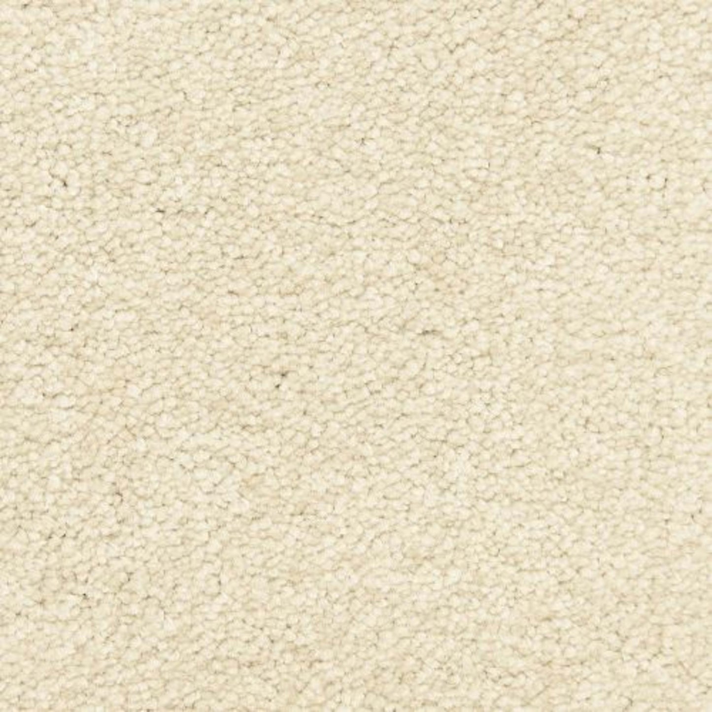 Morgan Bay in Sandstone Carpet
