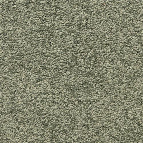Morgan Bay in Muir Woods Carpet
